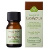 aromabera Essential Oils Eucalyptus 10ml