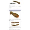 Keitech Paddlin Beaver 3.5 inch #008 Scuppernong