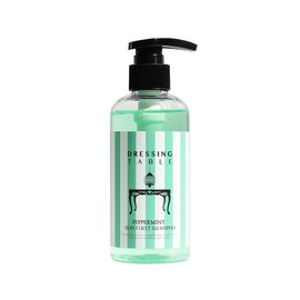 Cool Mint Cool Shampoo Oily Scalp Dandruff Youth Cool Cooling Shampoo 250ml / 시원한 민트쿨 샴푸 지성 두피 비듬 청소년 쿨 쿨링 샴푸 250ml