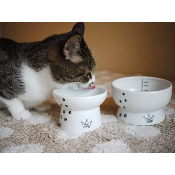 Necoichi Raised Cat Food and Water Bowl Set (Cat)