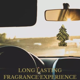 LITTLE TREES Car Air Freshener Hanging Paper Tree for Car or Home, GOLD, 1 Pack