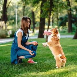 lyrlody Quietschendes Schwein-Spielzeug aus Latex, Zahnreinigung, Interaktives Quietschendes Spielzeug, Niedliches Interaktives Schwein, Hundespielzeug, Kau-Quietsch-Spielzeug, 16 × 8 × 8 cm(Rosa)