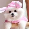 ANIAC Bunny Ears Cat Costume Plush Dog Hoodies with Pocket