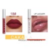 Brillos Labiales Cakaila Mixed Color 10 Pzs Impermeables