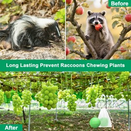36 Pack Powerful Peppermint Oil to Repel Skunk, Natural Raccoon Rat Repellent for Yard Outdoor Garden Home Plant, Mice Squirrel Skunk Fox Deer Deterrent Pet & Humans Safe