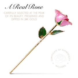 Forever Rose Bloom Box and Phantom Vase Bundle, Real 24K Gold Trimmed Bloomed Pink Rose, One of A Kind & Everlasting 24K Gold Dipped Rose, Unique Romantic Gifts for Women & Men