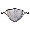 Western F.a.s.h.i.o.n Fashion Cloth Face Mask (Silver Multi)