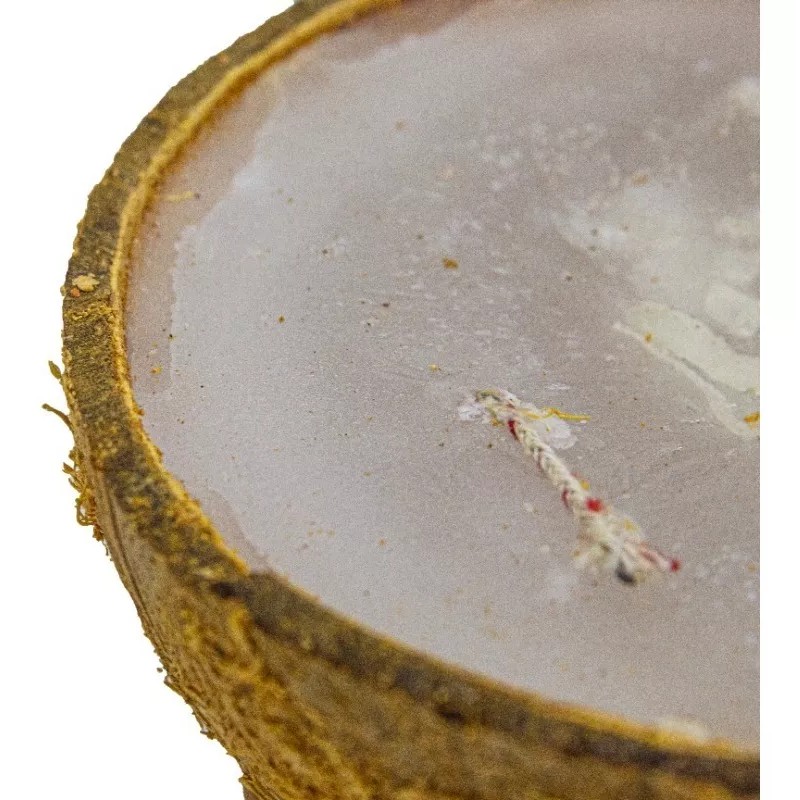 CEB Veladora De Coco Eleguua 3 Mechas Abre Camino