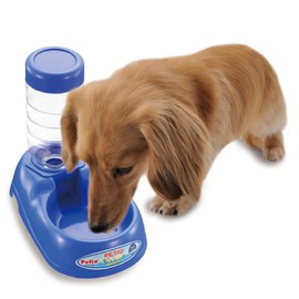Petio with Dish Water Dispenser, Blue