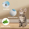 Andiker 3 Pcs Catnip Toys with Bell and Feather, Canvas