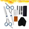 BIUDECO 10pcs Hair Scissor for Hairdressing and Grooming Durable Blue