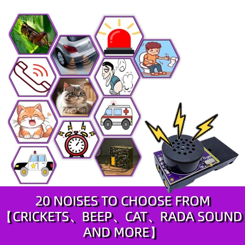 MacroTrek Cricket Noise Maker Prank with Remote-Controlled & Timer,Hidden 20-Sound