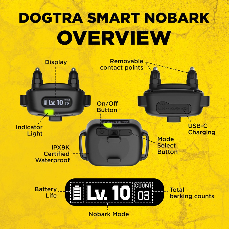 Dogtra Smart NOBARK Detects Whining and Barking, 33 ft Range