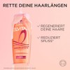 L'Or√©al Paris Elvital Germany's Next Topmodel Haarpflege-Routine f√ºr langes und