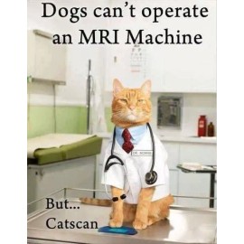 Funny Cat  refrigerator magnet 3 1/2 x 3 1/2"