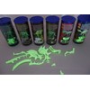 EDU-TOYS Pterodactylus Pterodactylus Glow-in-the-Dark Quick Kit