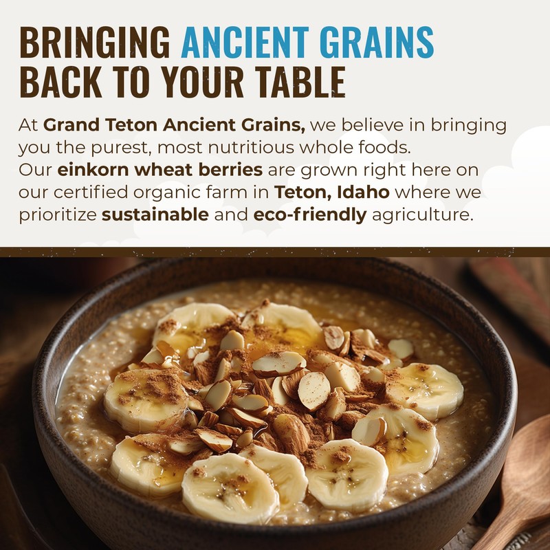 Grand Teton Ancient Grains - 100% Organic Einkorn Berries, Premium