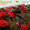 Gastody Gastody? Long Gardening Gloves Women and Men M -