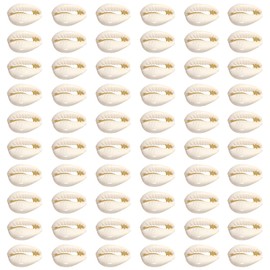 TOAOB 200pcs Shell Beads Craft Oval Spiral Shells Beads Natural Spiral Cowrie Shell Charms 12 to 16mm for Jewellery Making Bracelet Necklace Accessories Crafts DIY