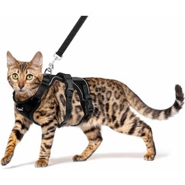 PUPTECK Juego De Arnés Y Correa para Gatos A Prueba De Escape para Caminar, Chaleco Mash Transpirable Arnés Ajustable para Gatos Cachorros Animales