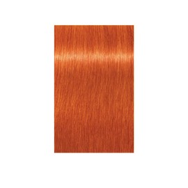 Schwarzkopf Igora Royal Color Creme Tube 0-77 Copper Concentrate by Schwarzkopf Professional by Schwarzkopf Professional