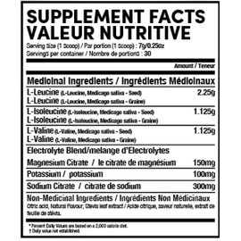 Clean BCAA Powder - Amino Acids Supplement - Mojito - Sugar Free Sucralose Free - Post Workout Muscle Recovery Drink with Amino Acids - Hydrating Electrolyte Powder - 30 Servings