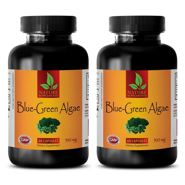 antioxidant supplement - ORGANIC BLUE GREEN ALGAE - brain pills 2 BOTTLE