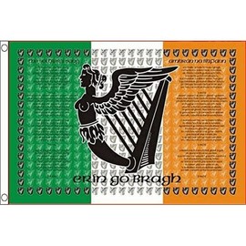 AZ FLAG - Ireland The Soldiers Song Flag - 3x5 Ft - 100D Polyester Irish Banner with Two Metal Grommets - Fade Resistant - Vivid Colors - 3' x 5' Feet - 150x90 Cm