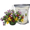 Soil Vigor Helps Flowers and Vegetable Garden Use Less Water
