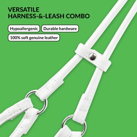 CollarDirect Rolled Leather Dog Harness Small Puppy Step-in Leash Lead Set for Walking 10 Colors (White, XS)