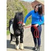 POLKA DOT HEADCOLLAR WITH LEAD ROPE FULL-MINI SHETLAND (Red, Cob)