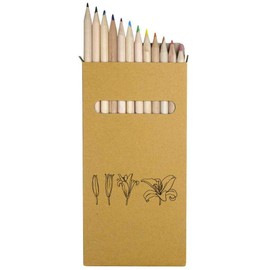 Azeeda 12 x 'Bloom Lily' Long 178mm Coloured Pencils/Pencil Set (PE00070811)