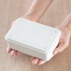 Small Storage Steel Storage Box Pale Color Class Up (Vertical