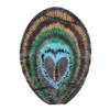 12pcs Peacock Feathers Embroidered Patches DIY Crafts Set Clothes Bags