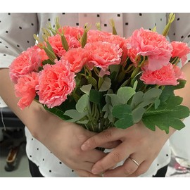 4 Bunches Bouquet of Artificial Silk Flower White Carnations Permanent Flower,12" Bouquet and Green Leaf for Home Party,Bridal Wedding Holding Flowers Festival Decor with 10 Per Bunch Flower