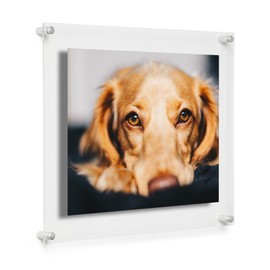 COOL MODERN FRAMES 8x10" Clear Double Panel Floating Acrylic Picture Frame Display with Silver Hardware for Displaying Art and Photos on Wall
