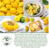Yellow Bush Scallop Summer Squash Seeds (Pattypan, Cucurbita pepo var.