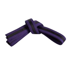 Mastery Leadership (purple belt/Black stripe, 3)