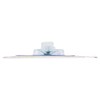 TRIM Professional Quality Square Tip Tweezers Sold in packs of
