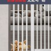 고양이 펫도어 펜스 울타리 출입문 안전문 방묘창 [Q. 무료 7종