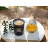 Esteban Ambre Scented Candle 170gm