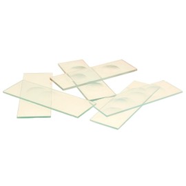 EISCO Microscope Slides with Single Concavity, 10/PK