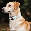 Cute Dog Collar with QR Code Buckle - Adjustable Metal