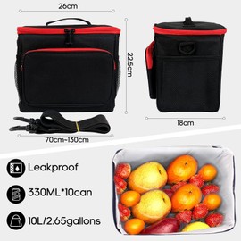 BOCHION Lunch Bag, Work Thermal Lunch Tote Bags, 10L Large Dual Compartment Food Bag for Men, Kids, Girls, Adults, Ladies, Picnic, Camping, School, Lunch Cooler Carrier Bags. (Leak-Proof Waterproof)