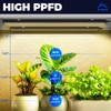 Barrina T5 Plant Grow Lights for Indoor Growing, 2FT 80W