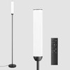 LED Floor Lamp with Remote Control, 65" Standing Lamp with