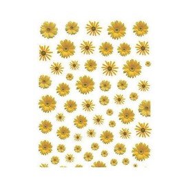 Generic Daisy Sunflower Flowers Leaf Fruit Rose Violet Clover Nail Sticker R014 Nail Wraps Stickers Manicure Supplies for Women Nails Full Long Lasting Easy Apply and Remove