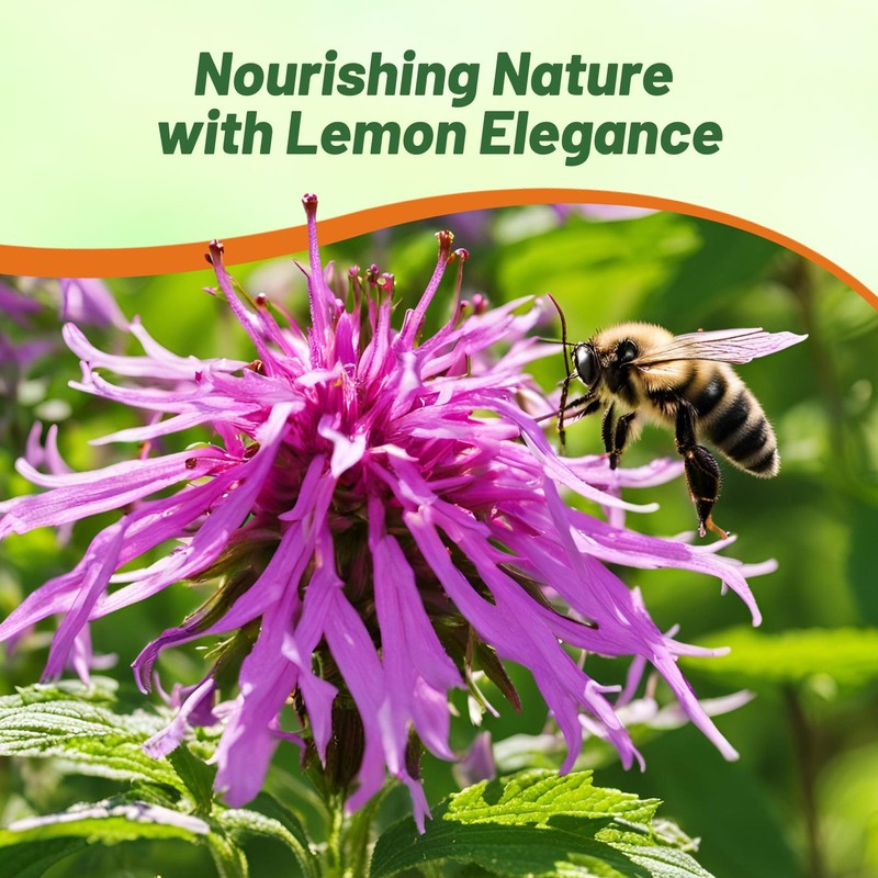 Outsidepride Lemon Bee Balm Seeds - 5000 Pcs Annual, Easy