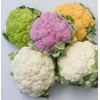 NIKA SEEDS - Seeds Vegetable Cauliflower Cabbage Mix - 200