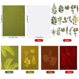 NOVWANG 40 Sheets Sun Print Paper Kit, 5.8 x 8.3 Inch Cyanotype Art Drawing Fall Red Yellow Paper Cyanotype with 1 Sheet Acrylic Panel for Autumn Arts Crafts DIY Project